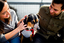 A young couple sits with a dog in between them